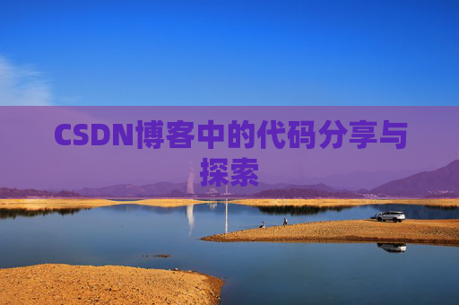 CSDN博客中的代码分享与探索